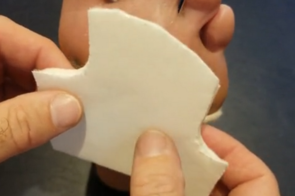 replaceabledoublewing1